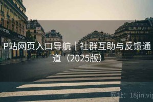 P站网页入口导航｜社群互助与反馈通道（2025版）