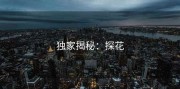 独家揭秘：探花