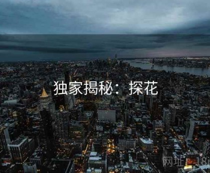 独家揭秘：探花