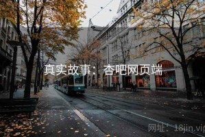 真实故事：杏吧网页端