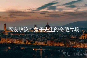 网友热议：兔子先生的奇葩片段