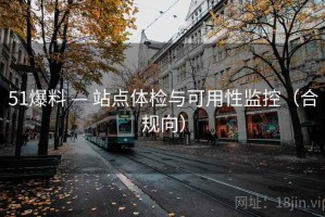 51爆料 — 站点体检与可用性监控（合规向）