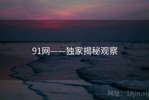91网——独家揭秘观察