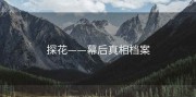 探花——幕后真相档案
