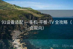 91设备适配 — 手机-平板-TV 全攻略（合规向）
