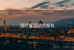 国产探花研究报告