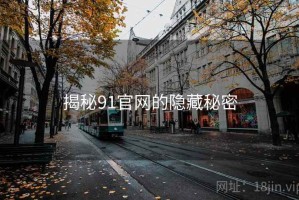 揭秘91官网的隐藏秘密