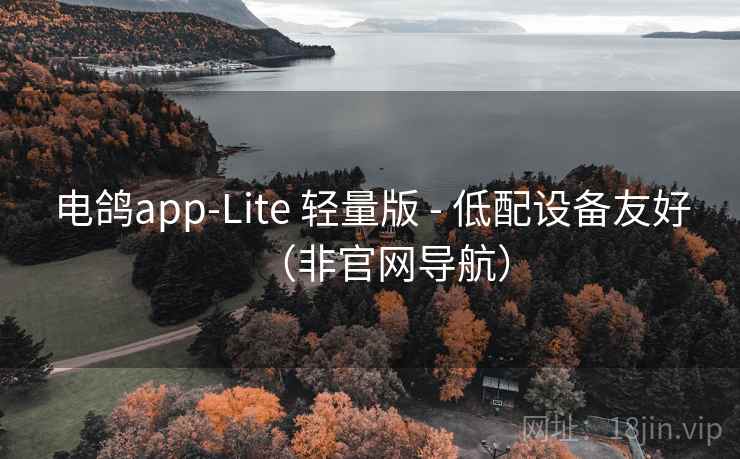 电鸽app-Lite 轻量版 - 低配设备友好(非官网导航) 电鸽app-Lite 轻量版 - 低配设备友好(非官网导航)