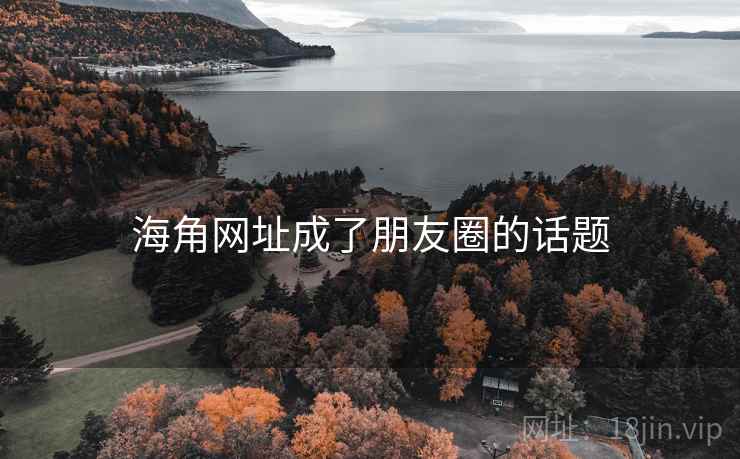 海角网址成了朋友圈的话题