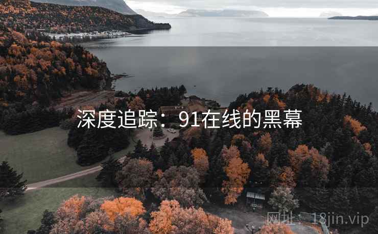 深度追踪:91在线的黑幕 深度追踪:91在线的黑幕